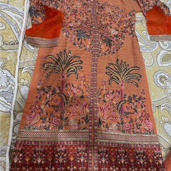 Pakistani dresses - Picture 8 of 11